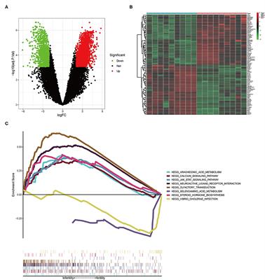 Identification of Potential Molecular Mechanism Related to Infertile Endometriosis